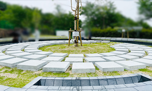 宝塚すみれ墓苑の大型シンボルツリー型樹木葬