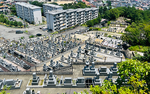 宝塚霊園内の自然